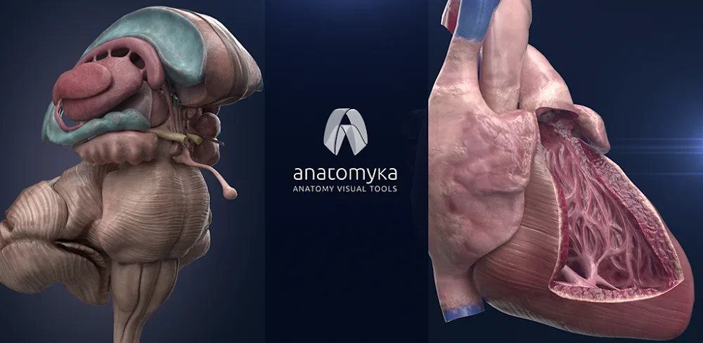 Anatomyka Atlas v3.4.0 MOD APK (Premium Unlocked)