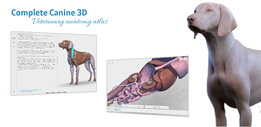 Complete Canine 3D - anatomy v1.73 APK (Premium Unlocked)