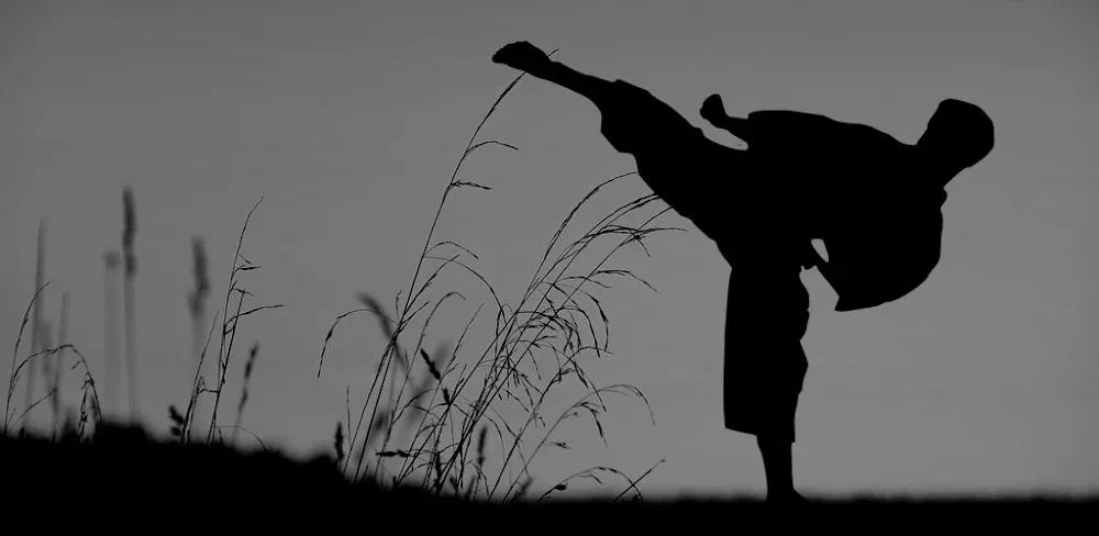 Flexibility for Fighters v2.29.google MOD APK (Premium Unlocked)