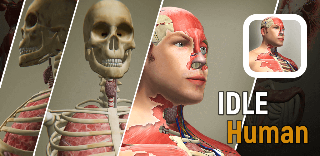 Idle Human MOD APK v1.23.8 (Unlimited Diamonds)