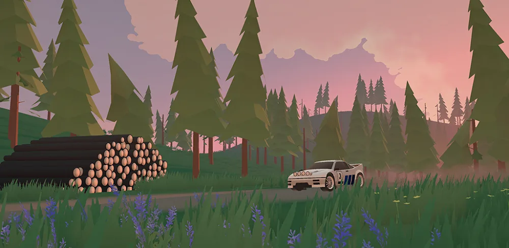 N3Rally v3.3.3 MOD APK (Free Purchases)