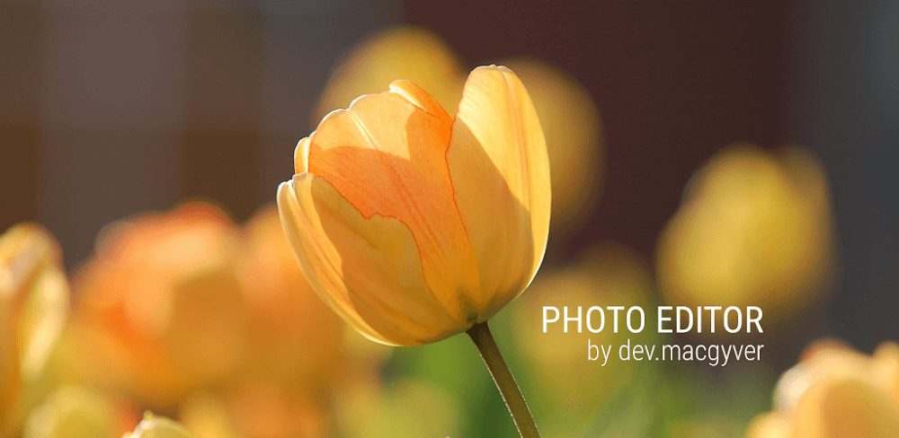 Photo Editor v13.2.1 MOD APK (Pro Unlocked)