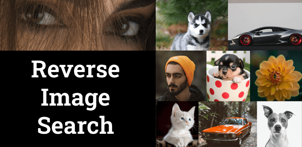 Photo Sherlock v1.132 MOD APK (Premium Unlocked)