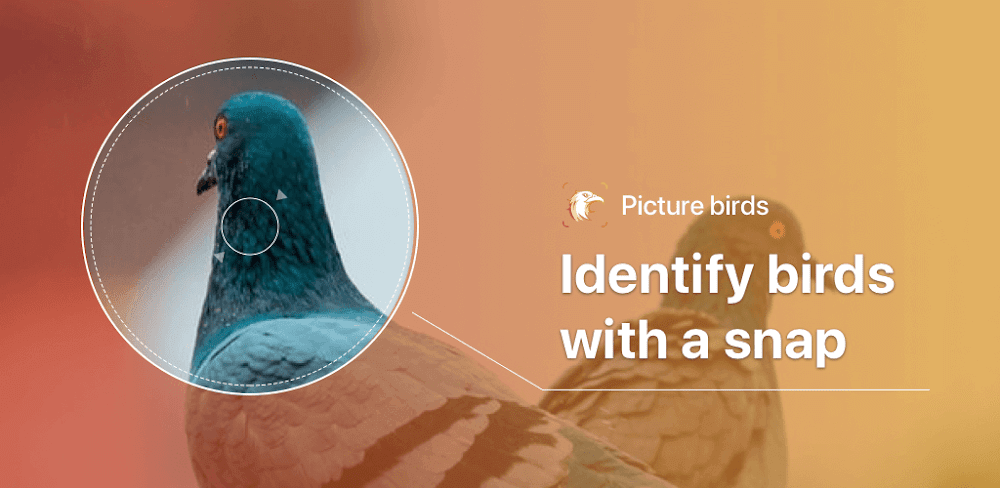 Picture Bird - Bird Identifier v2.9.32 MOD APK (Premium Unlocked)