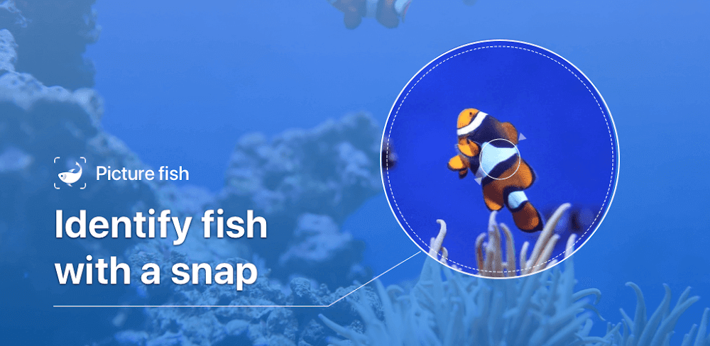 Picture Fish - Fish Identifier v2.4.23 MOD APK (Premium Unlocked)