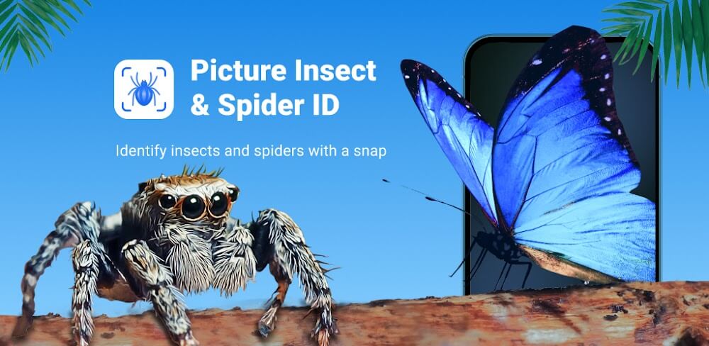 Picture Insect: Bug Identifier v2.9.1 MOD APK (Premium Unlocked)