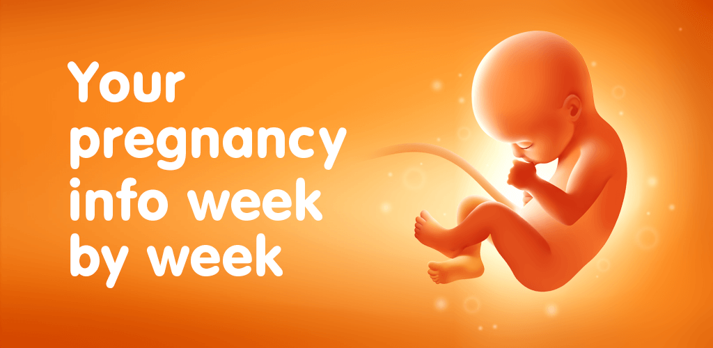 Pregnancy Tracker v3.159.0 MOD APK (Premium Unlocked)